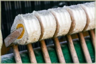 Worn out hammers on an old piano - Josefs Pianos