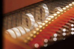 Hammers on a Yamaha Grand Piano