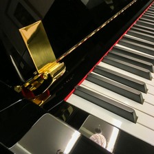 A close up of the keyboard and slow fall mechanism on a Petrof piano